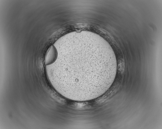 X0000111050662200907161406