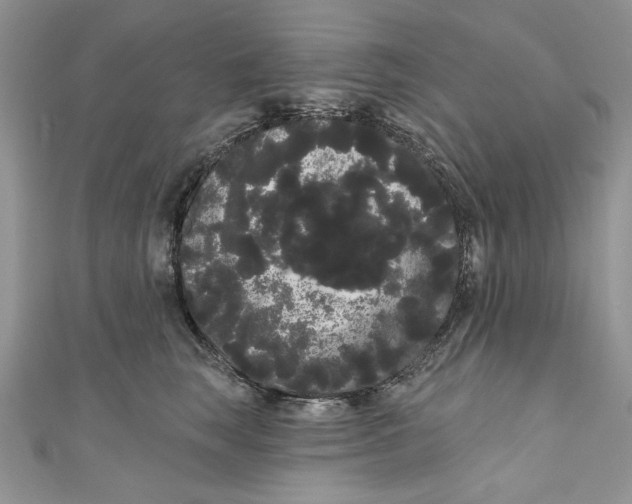 X0000111050663200907161406