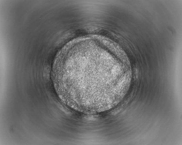 X0000111050664200907161406