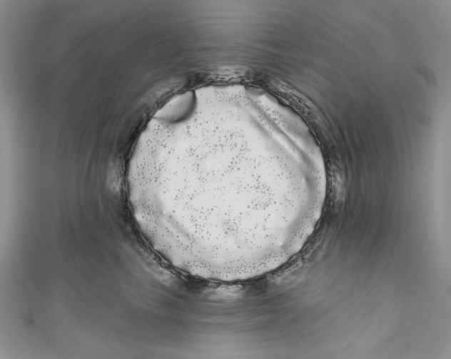 X0000111050665200907161406