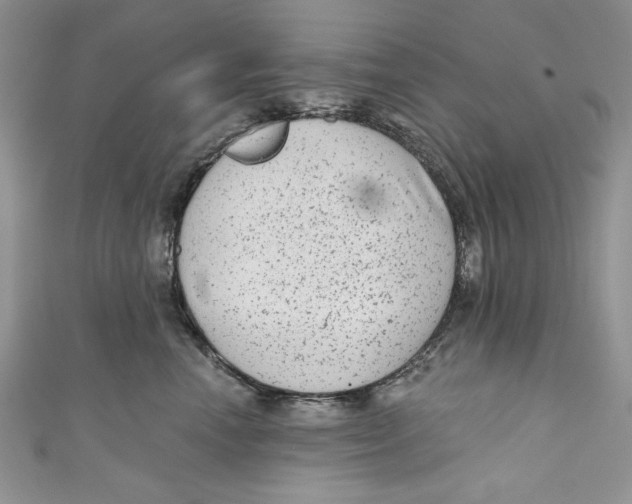 X0000111050666200907161406