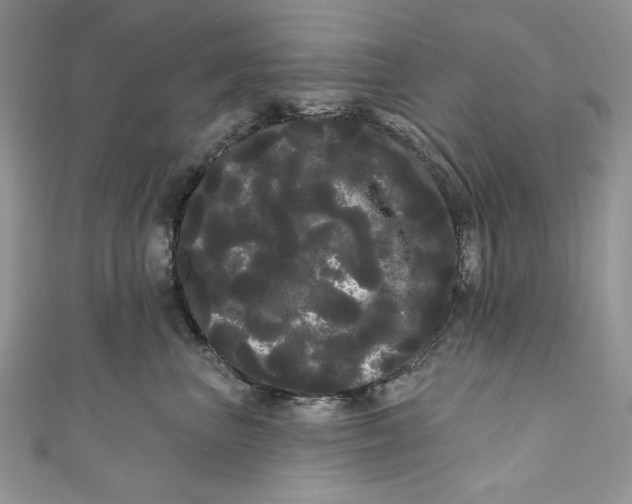 X0000111050667200907161406