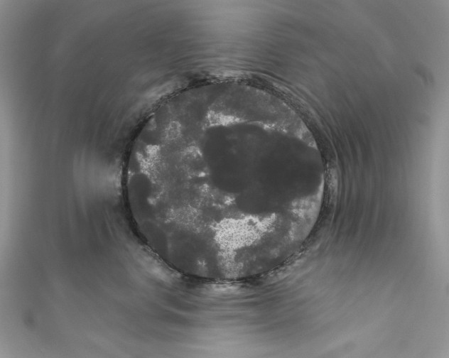 X0000111050668200907161406