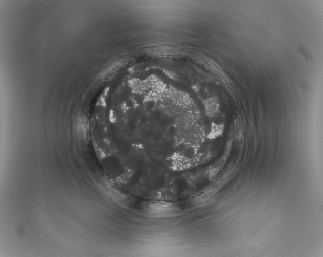 X0000111050669200907161406