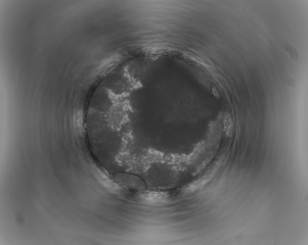 X0000111050670200907161406