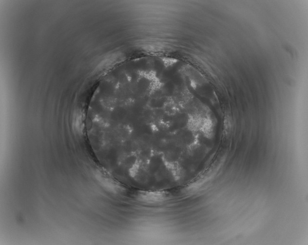 X0000111050671200907161406