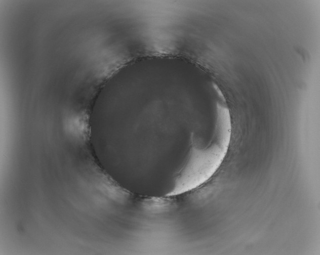 X0000111050672200907161406