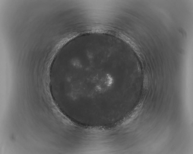 X0000111050673200907161406