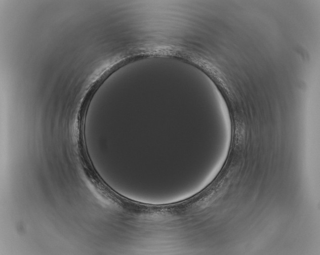 X0000111050674200907161406