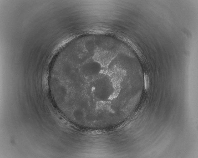 X0000111050675200907161406