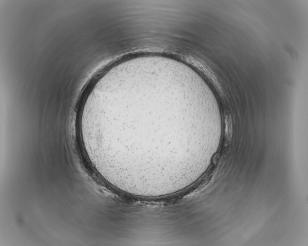 X0000111050676200907161406