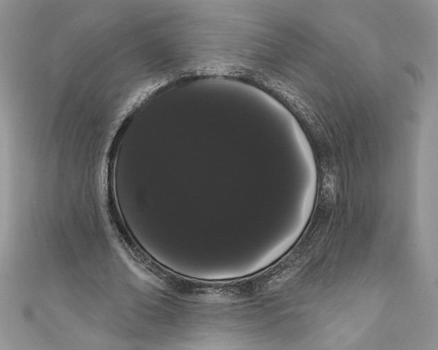 X0000111050678200907161406