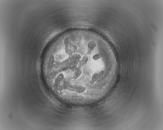 X0000111050679200907161406