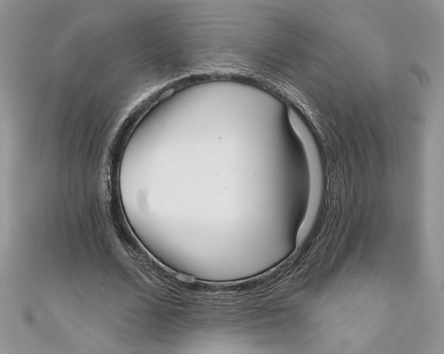 X0000111050680200907161406