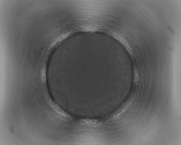 X0000111050681200907161406