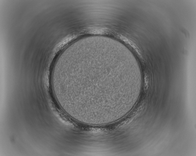 X0000111050682200907161406