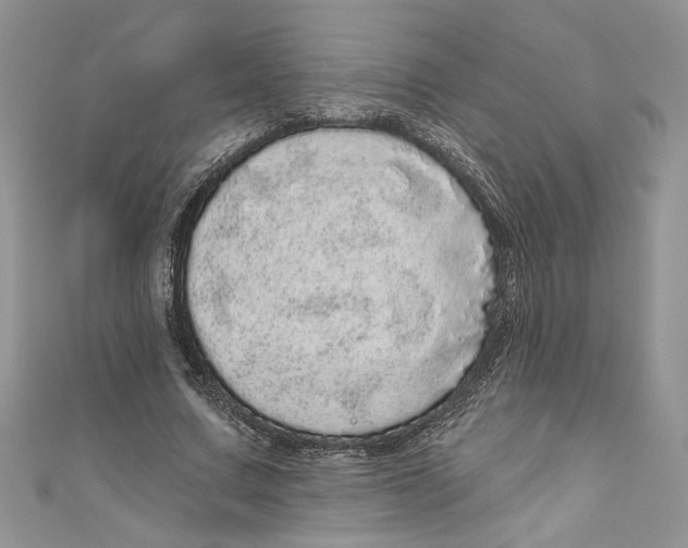 X0000111050683200907161406