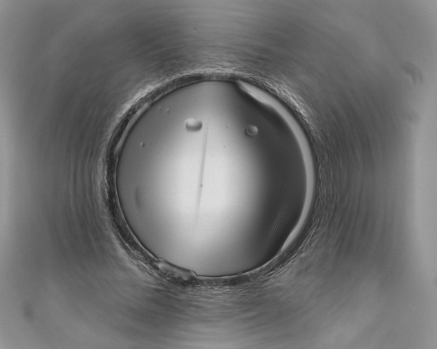 X0000111050684200907161406