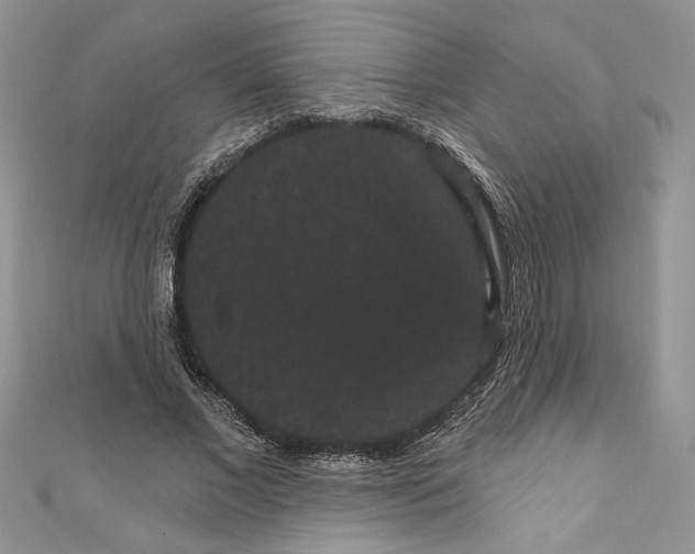 X0000111050685200907161406