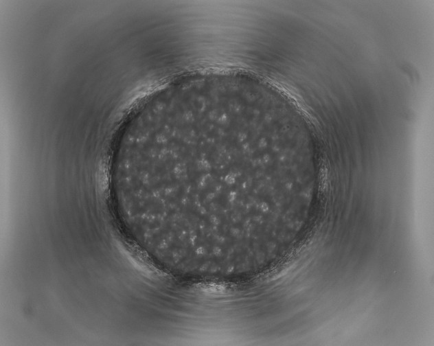 X0000111050687200907161406