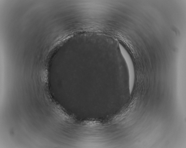 X0000111050689200907161405