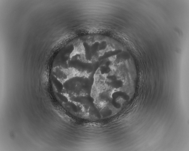 X0000111050691200907161405