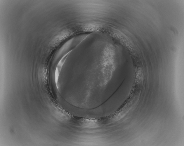 X0000111050692200907161405