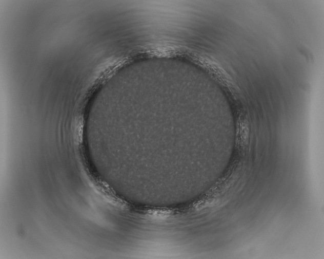 X0000111050694200907161405