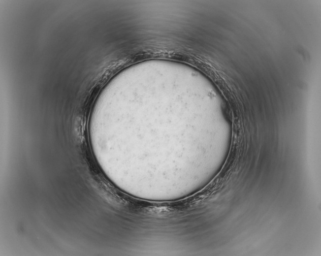 X0000111050695200907161405