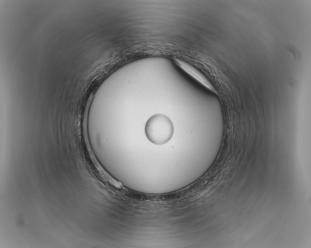 X0000111050696200907161405