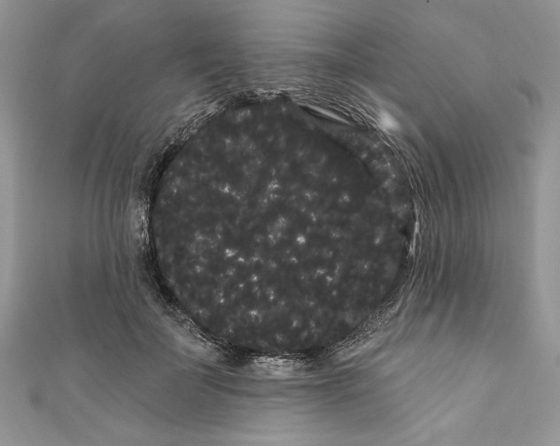 X0000111050699200907161405