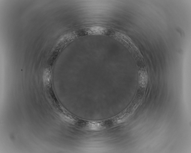 X0000111050701200907161405