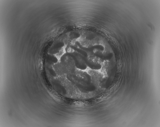 X0000111050703200907161405