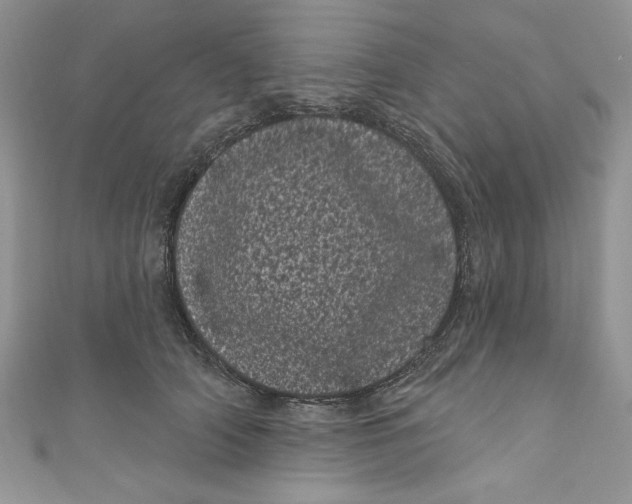 X0000111050706200907161405