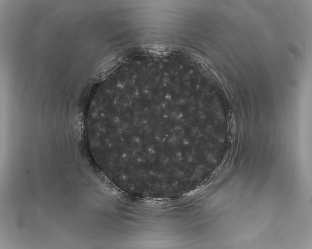 X0000111050707200907161405