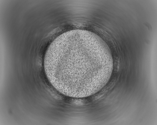 X0000111050710200907161405