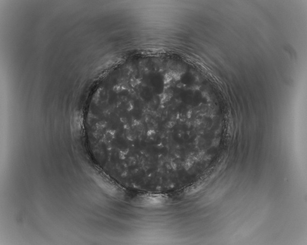 X0000111050711200907161405