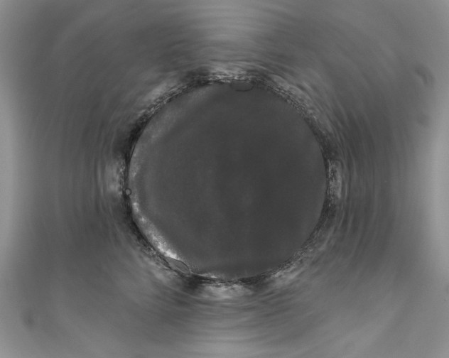 X0000111050712200907161405