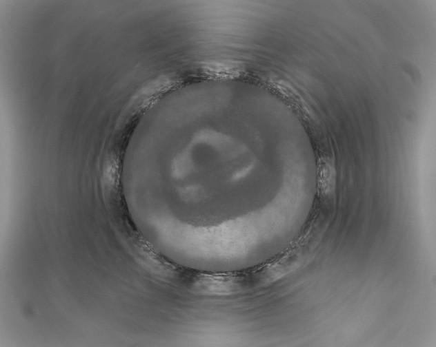 X0000111050713200907161405