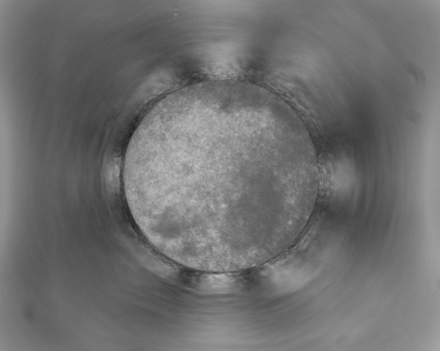 X0000111050717200907161405