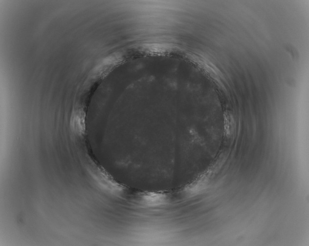 X0000111050718200907161405