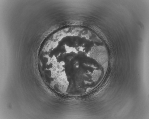 X0000111050721200907161404