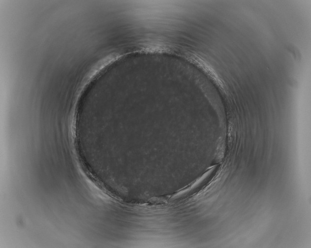 X0000111050722200907161404