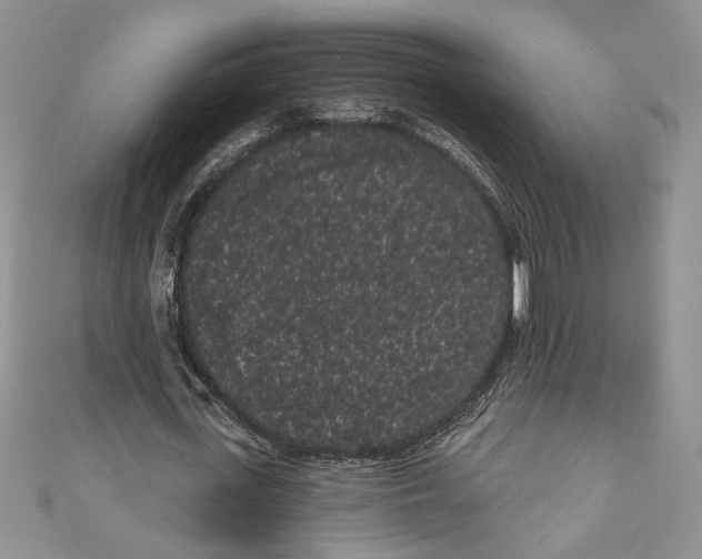 X0000111050723200907161404