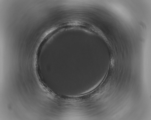 X0000111050724200907161405