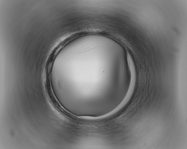 X0000111050726200907161405