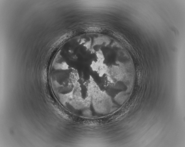 X0000111050729200907161405