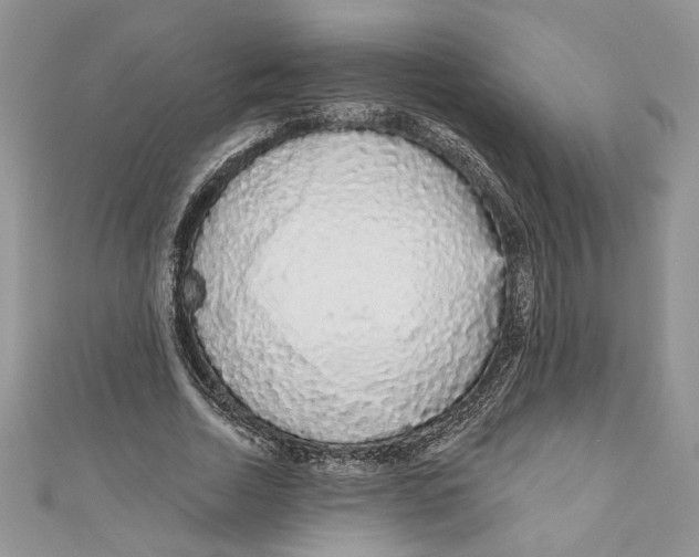 X0000111050730200907161405