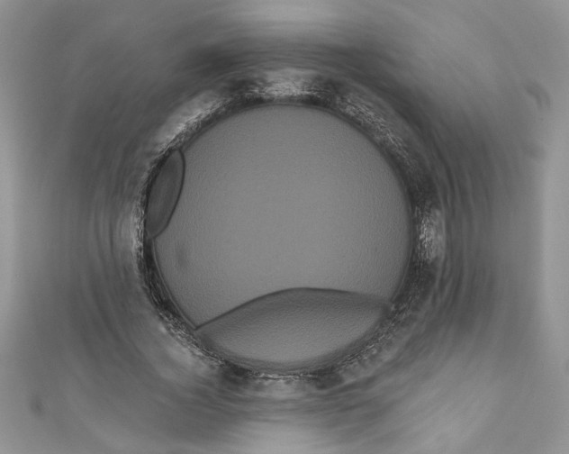 X0000111050732200907161405