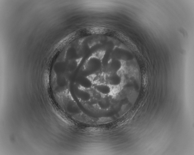 X0000111050733200907161405